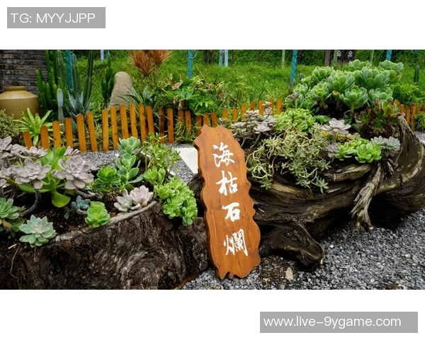 林书豪与家人畅游阿里山共享美丽风景感受大自然的魅力